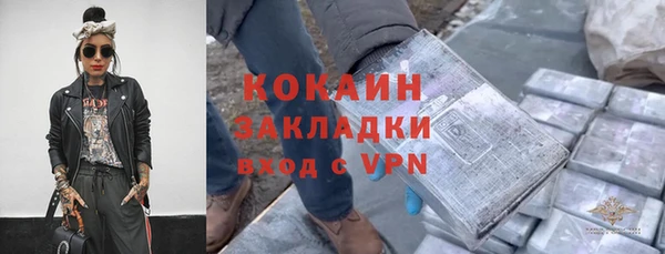 соль ск Козловка