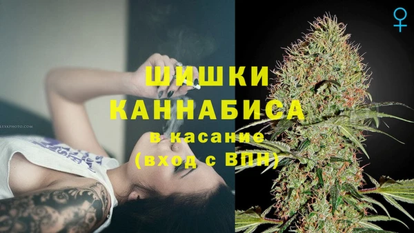 соль ск Козловка