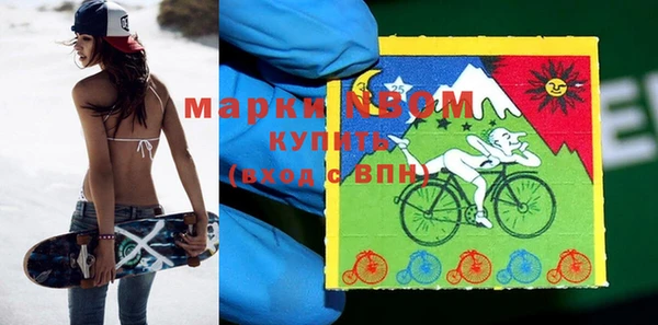 хмурый Кодинск