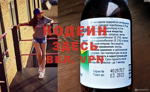 хмурый Кодинск