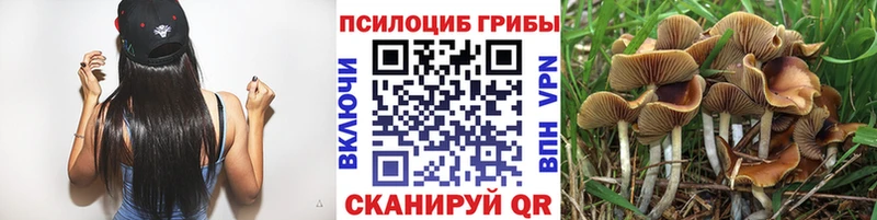 Псилоцибиновые грибы Psilocybine cubensis  Купить где  Печора 